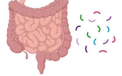 Investigating Gut Hormones In Human Health and Disease